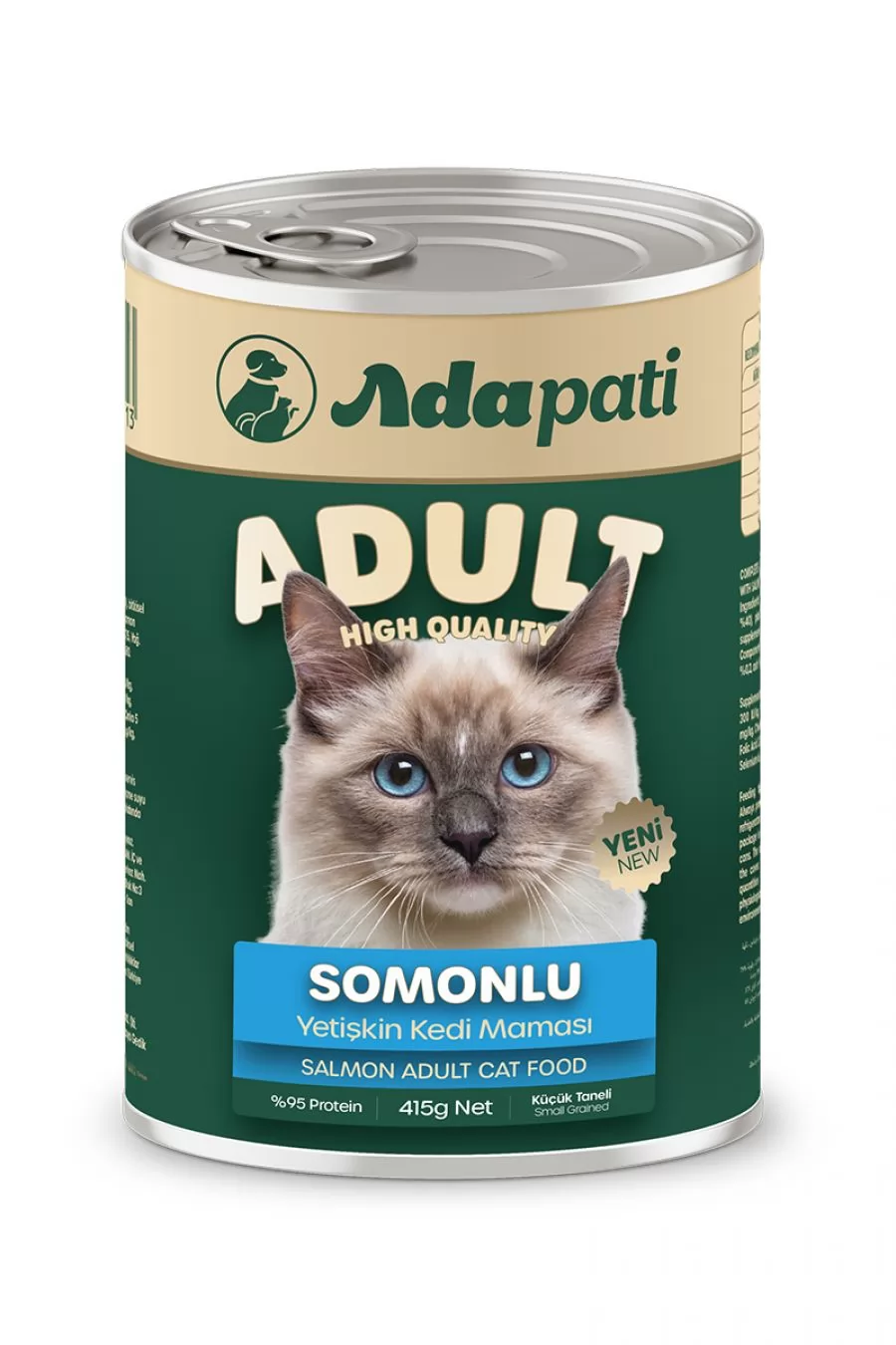 Yetişkin Somon Kedi