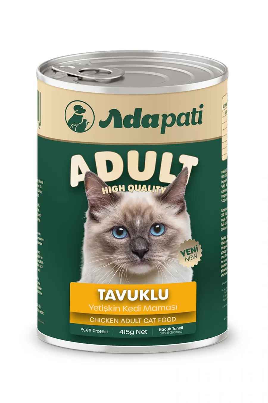 Yetişkin Tavuk Kedi